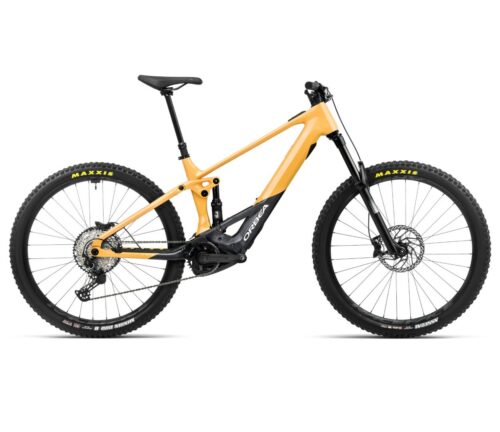 Wild H30