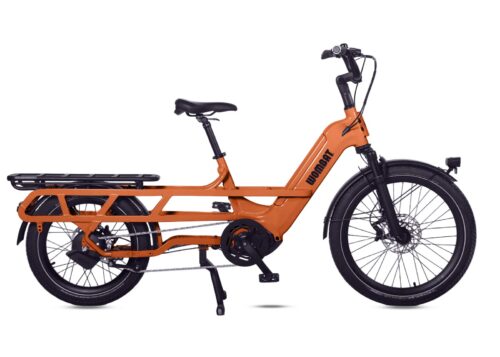 263600004_2-banksiaorange